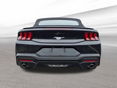 2024 Ford Mustang EcoBoost Premium Convertible