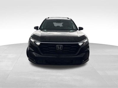 2023 Honda CR-V EX-L AWD w/o BSI